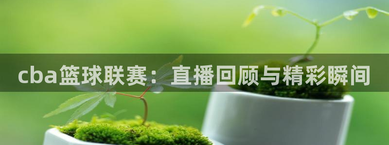 cba篮球联赛：直播回顾与精彩瞬间